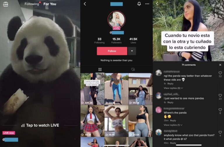 Мошенничество в TikTok LIVE: Украденные видеозаписи используются для получения подарков TikTok и продвижения мошенничества с целью заработка