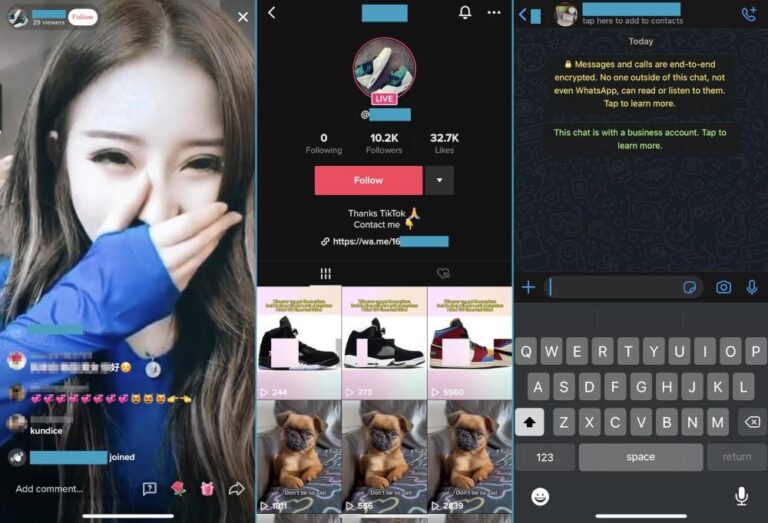 Мошенничество в TikTok LIVE: Украденные видеозаписи используются для получения подарков TikTok и продвижения мошенничества с целью заработка