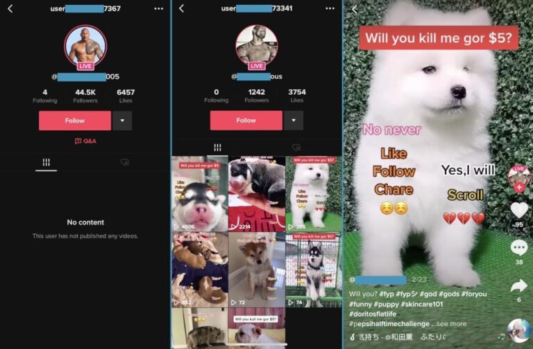 Мошенничество в TikTok LIVE: Украденные видеозаписи используются для получения подарков TikTok и продвижения мошенничества с целью заработка