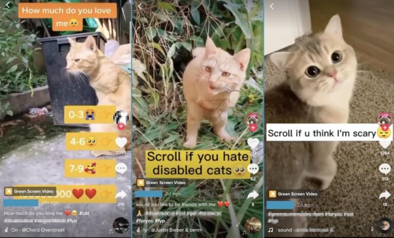 Мошенничество в TikTok LIVE: Украденные видеозаписи используются для получения подарков TikTok и продвижения мошенничества с целью заработка